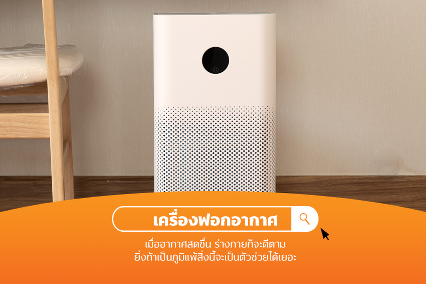 เครื่องฟอกอากาศ ไอเทมบนโต๊ะทำงาน WorkFromHome