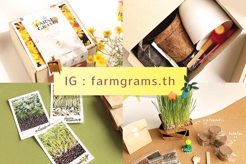 10_848x565_farm_gram IG farmgrams.th TruePoint and Pay