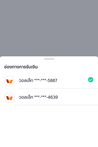 paynext-extra-credit-howto-Payment in full-20240626-04