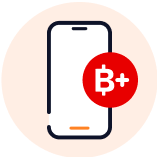 ico-feb2025-Other top ups