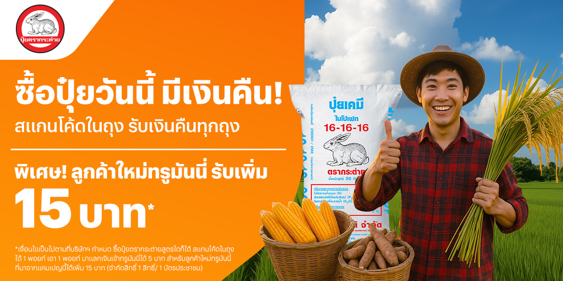 โปรโมชันทรูมันนี่