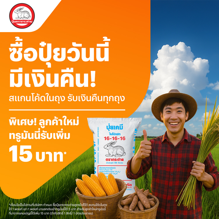 โปรโมชันทรูมันนี่