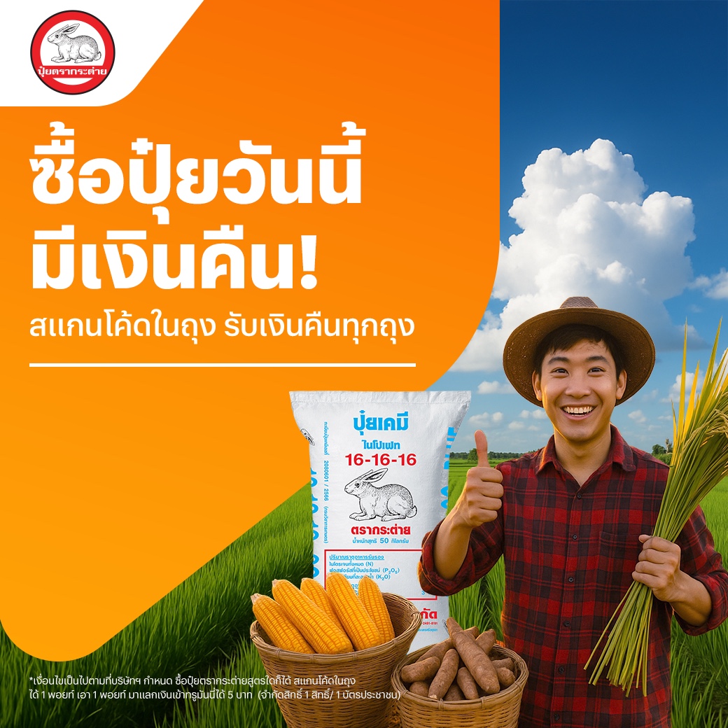 โปรโมชันทรูมันนี่