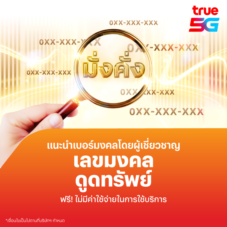 โปรโมชันทรูมันนี่